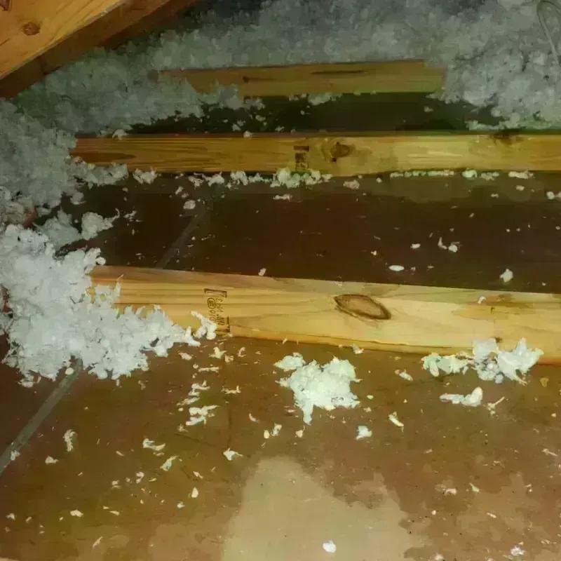 Attic Water Damage in Tryon, NC